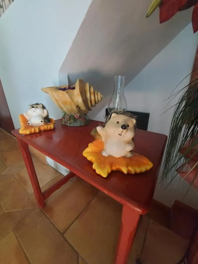 Guest House B&B Private Rooms Inca Center Mallorca Island  Privatunterkunft Mallorca Island (Mallorca)